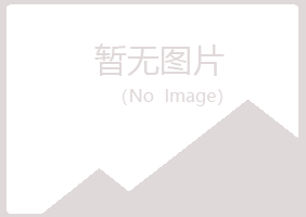 大新县埋没水泥有限公司